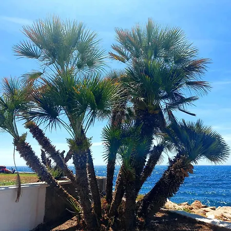 Lägenhet La Perla Del Cura Torrevieja