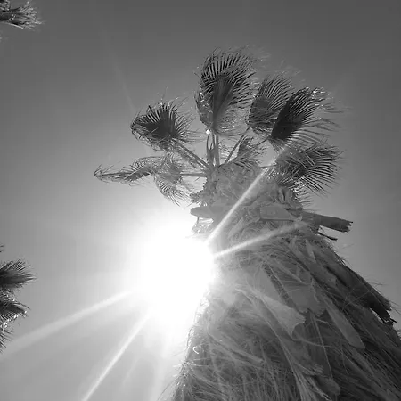 La Perla Del Cura Torrevieja